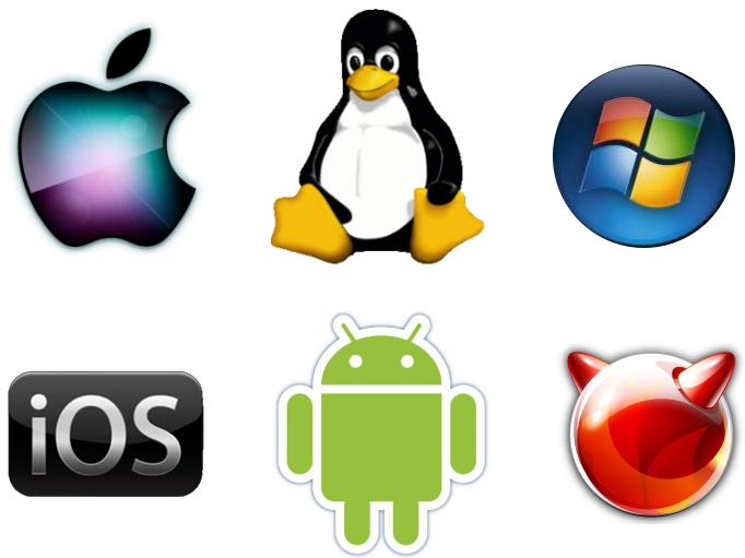 Windows、iOS、Androidなどのオペレーティング・システムはシステム・ソフトウェアの一例である。