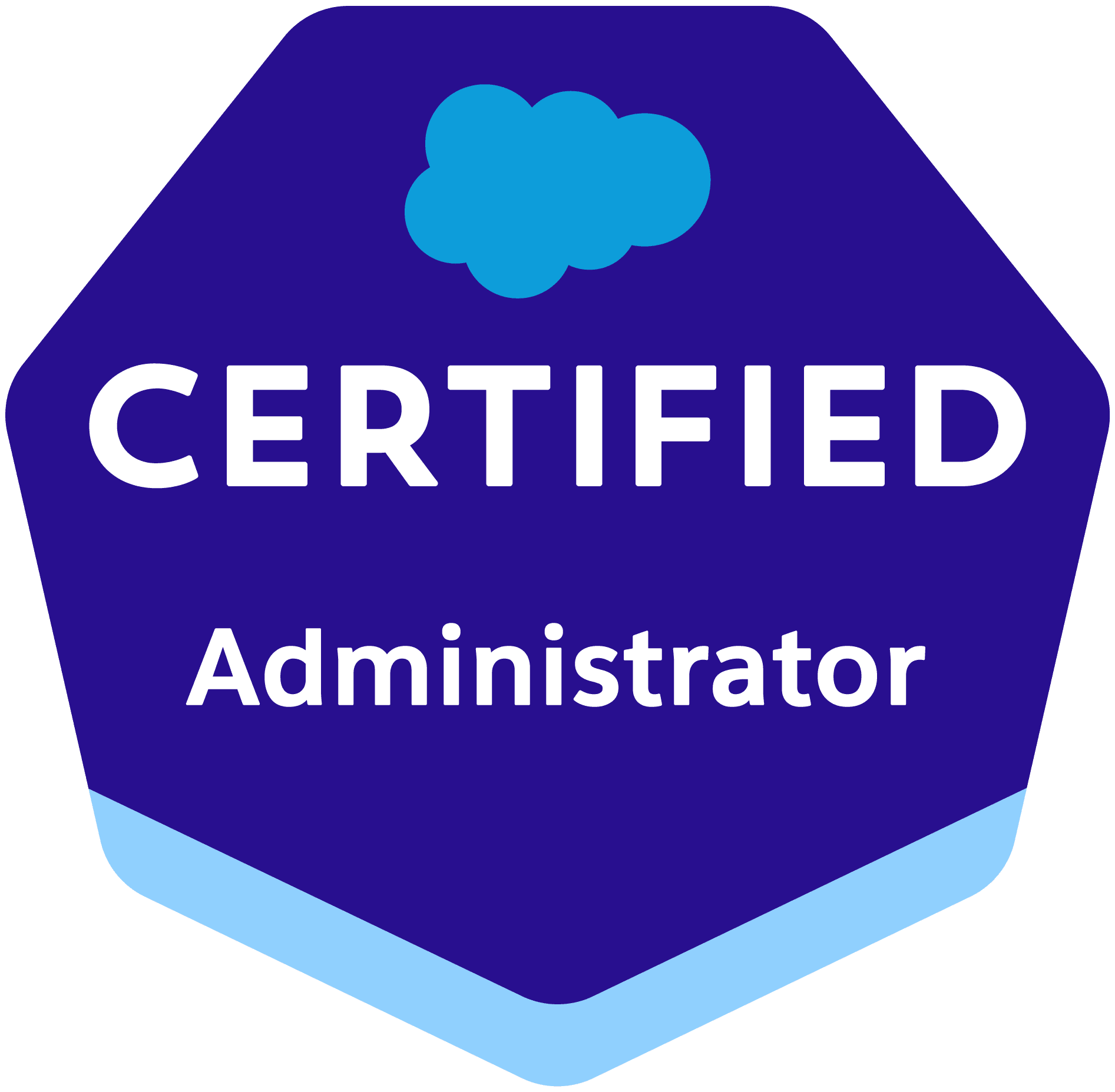 Salesforce Administrator (1)