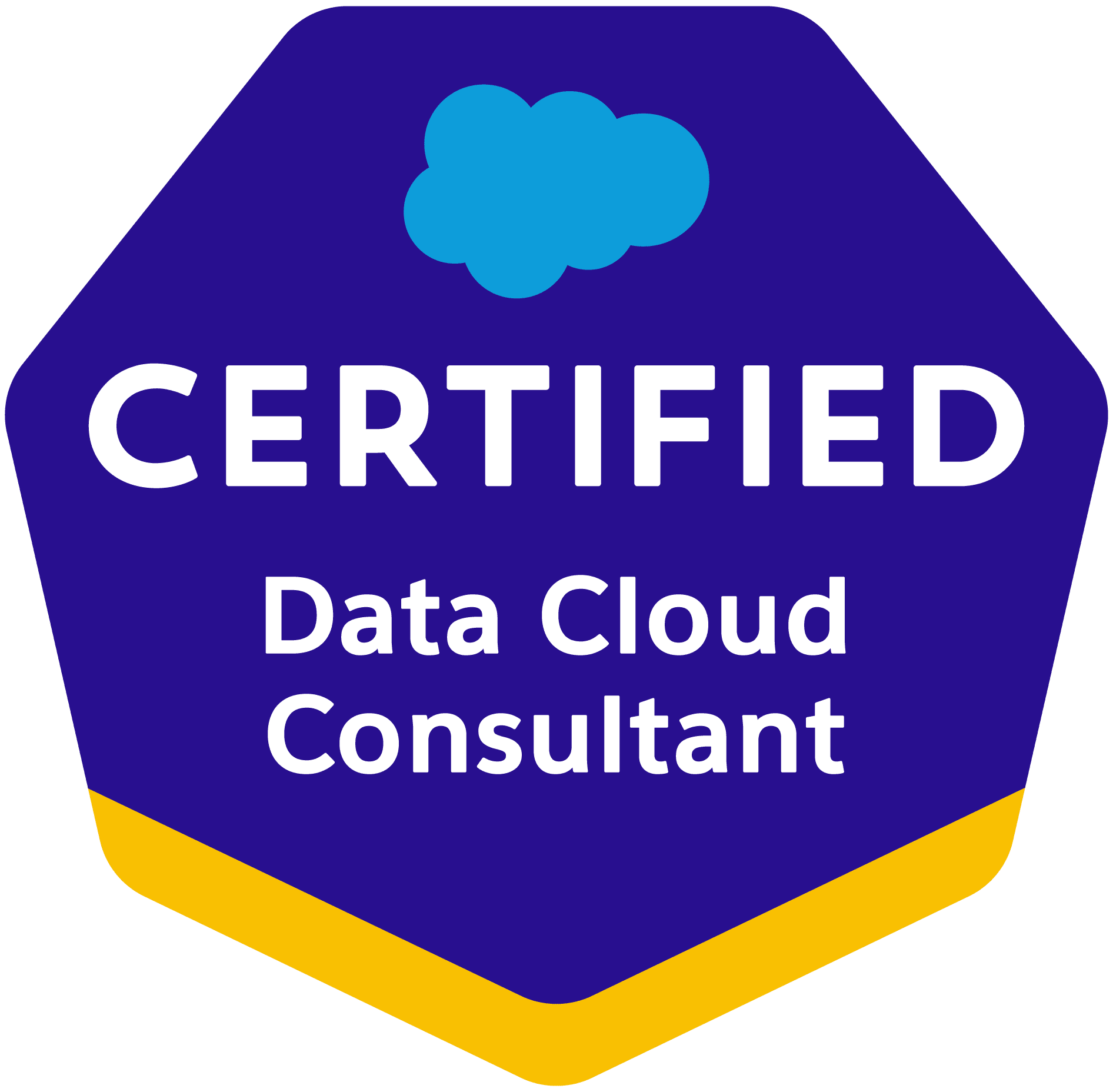 Salesforce Consultant (1)