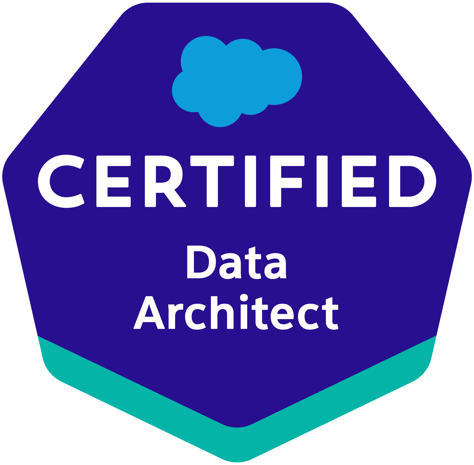 Salesforce Data Architect (1)